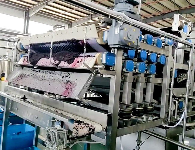 帶式壓榨機客戶桑葚榨汁使用現場