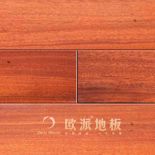 圓盤豆地板