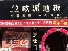 江浙沭陽歐派地板專賣店11.18特惠活動