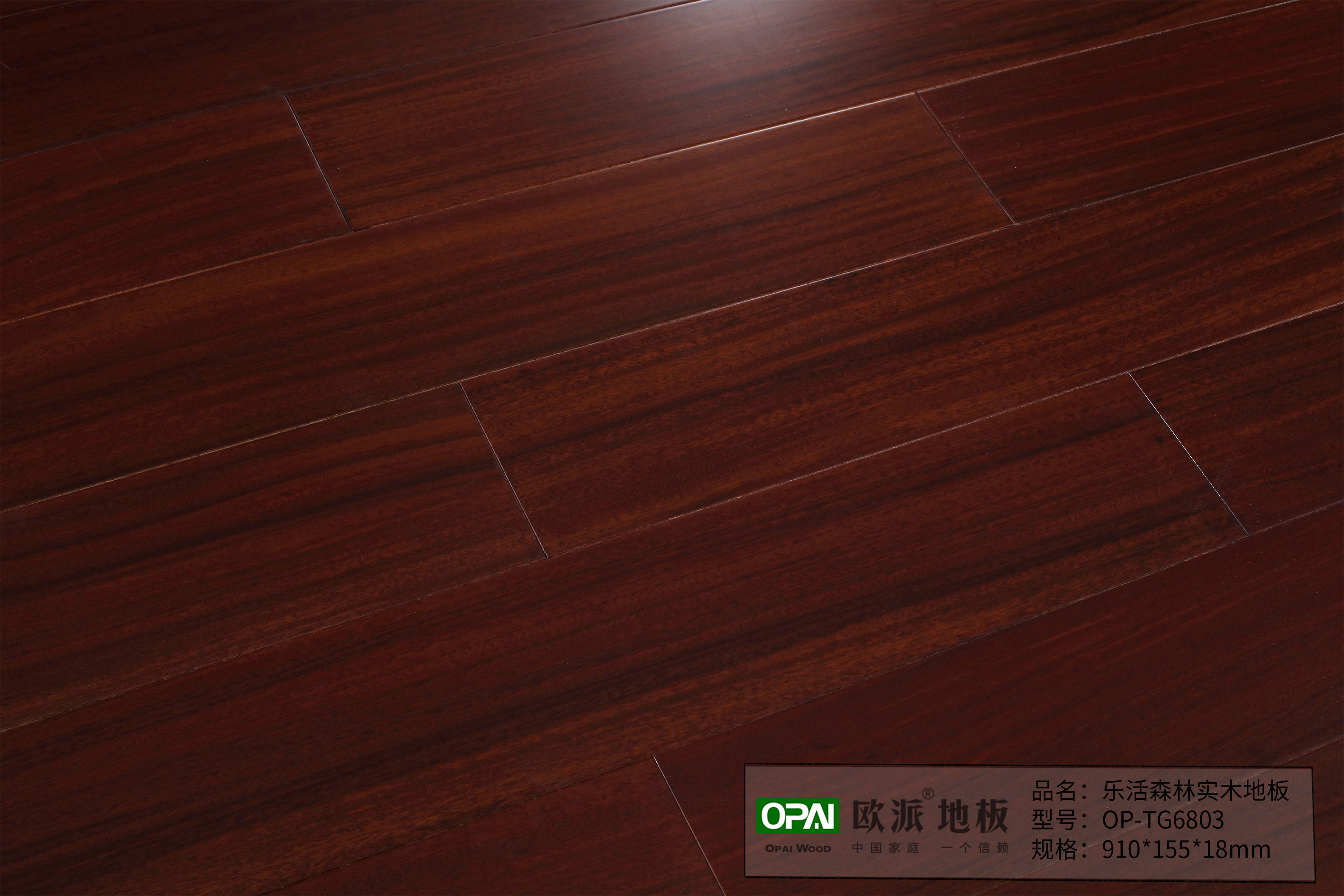 OP-TG6803